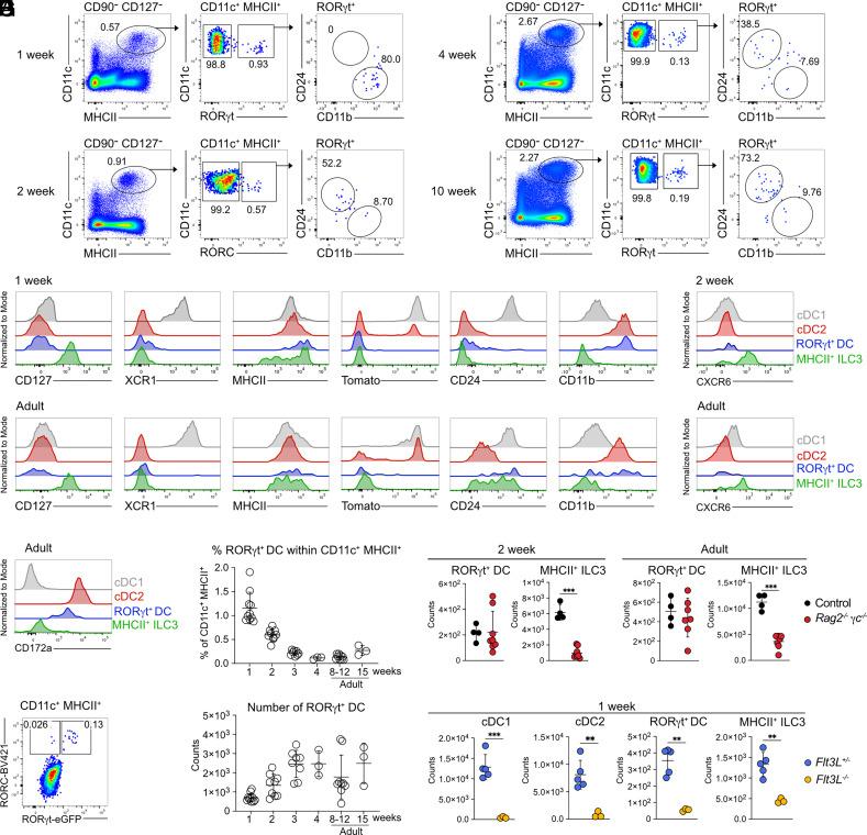 https://cdn.ncbi.nlm.nih.gov/pmc/blobs/67cf/11892598/38b841bd7232/pnas.2417308122fig01.jpg