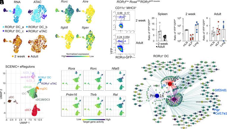 https://cdn.ncbi.nlm.nih.gov/pmc/blobs/67cf/11892598/64ca1fd8a6d7/pnas.2417308122fig05.jpg