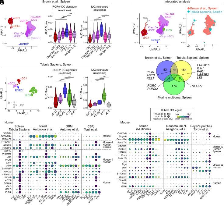 https://cdn.ncbi.nlm.nih.gov/pmc/blobs/67cf/11892598/d58598139765/pnas.2417308122fig03.jpg