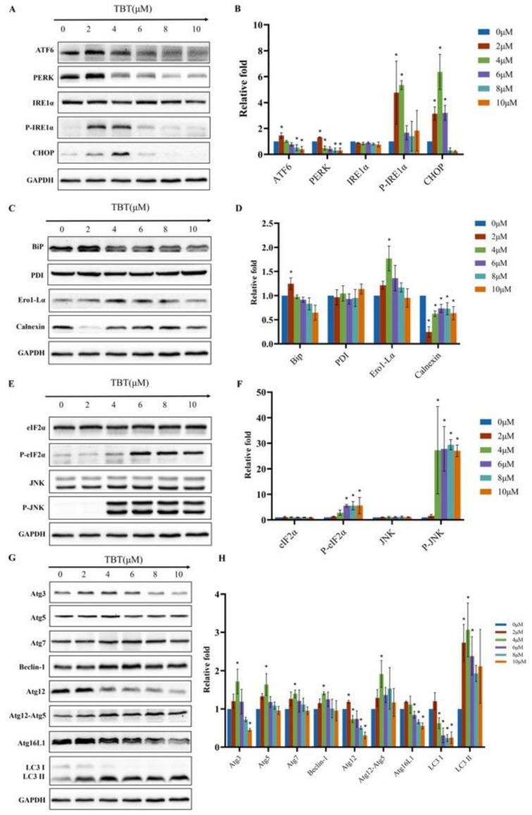 https://cdn.ncbi.nlm.nih.gov/pmc/blobs/67d3/10386594/593785dc12c5/toxics-11-00607-g008.jpg