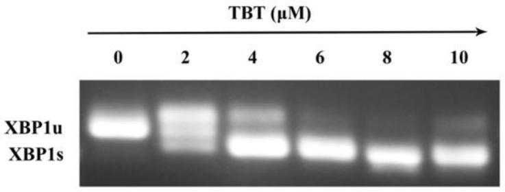 https://cdn.ncbi.nlm.nih.gov/pmc/blobs/67d3/10386594/7725d32ed32b/toxics-11-00607-g003.jpg