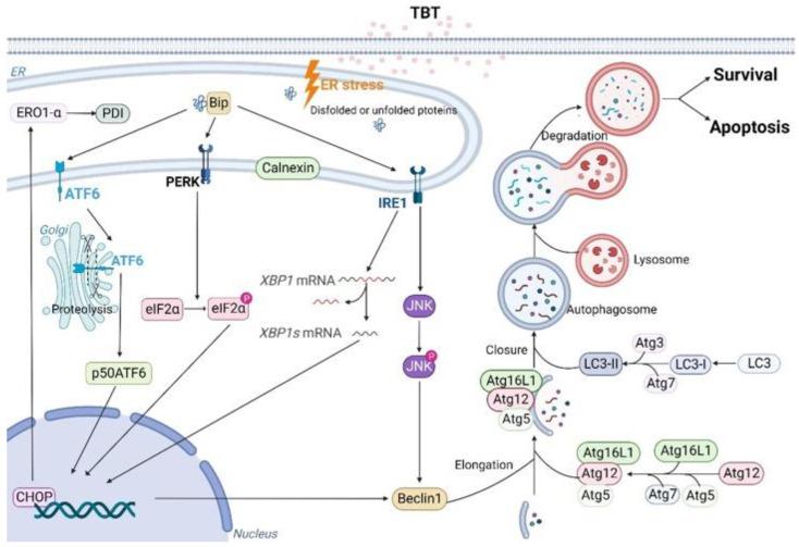https://cdn.ncbi.nlm.nih.gov/pmc/blobs/67d3/10386594/7c30f0f66eb2/toxics-11-00607-g009.jpg