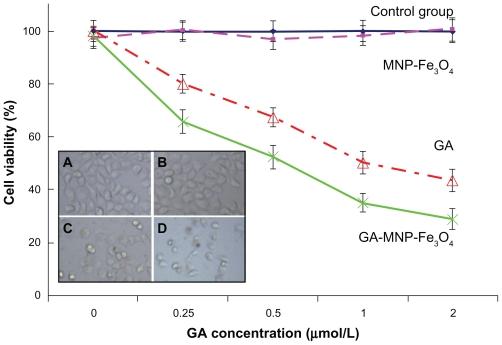 https://cdn.ncbi.nlm.nih.gov/pmc/blobs/67d4/3173055/78705fd3bce6/ijn-6-1929f3.jpg