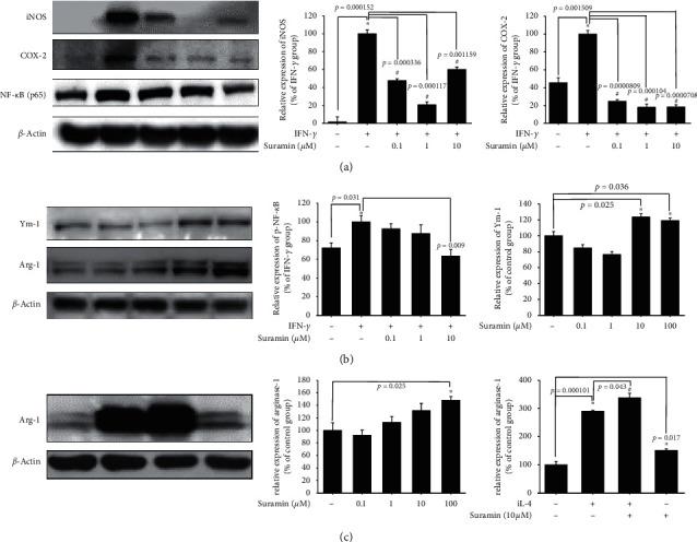 https://cdn.ncbi.nlm.nih.gov/pmc/blobs/67d9/7787797/3de4facb4e67/PD2020-8814236.001.jpg