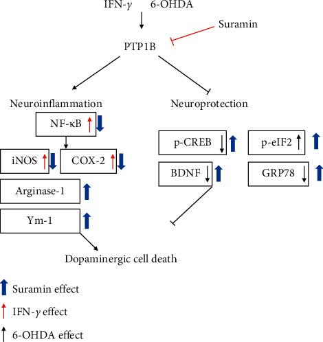 https://cdn.ncbi.nlm.nih.gov/pmc/blobs/67d9/7787797/5d05e1dbf39f/PD2020-8814236.008.jpg