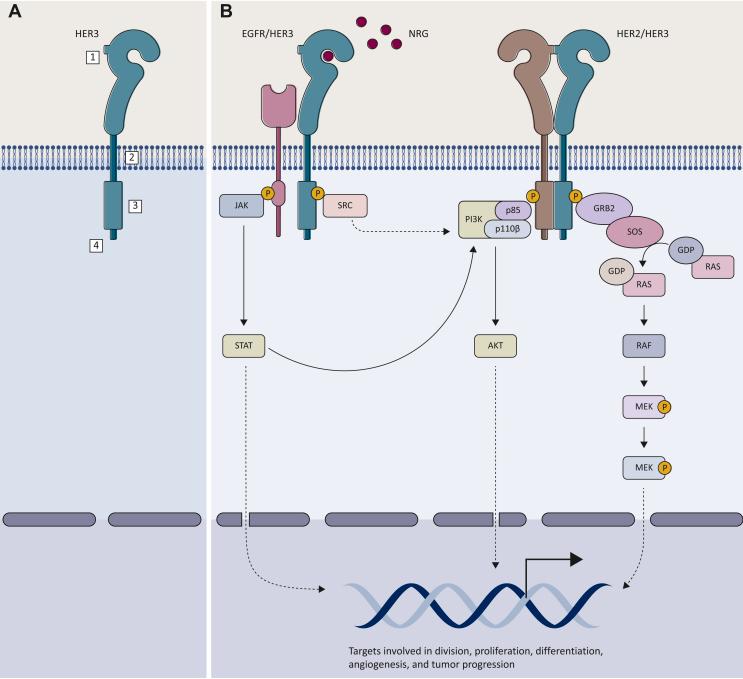 https://cdn.ncbi.nlm.nih.gov/pmc/blobs/67d9/9929675/5cc9bf3f8b72/gr1.jpg