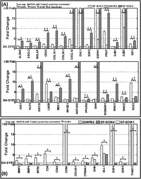 https://cdn.ncbi.nlm.nih.gov/pmc/blobs/67da/4396071/421042f4ca31/13287_2015_2_Fig5_HTML.jpg