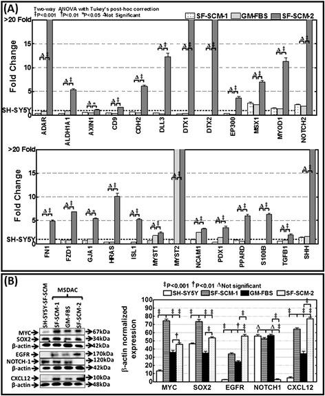 https://cdn.ncbi.nlm.nih.gov/pmc/blobs/67da/4396071/cc6c233f2fed/13287_2015_2_Fig6_HTML.jpg