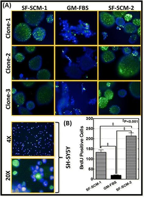 https://cdn.ncbi.nlm.nih.gov/pmc/blobs/67da/4396071/d1f3db940b5e/13287_2015_2_Fig3_HTML.jpg