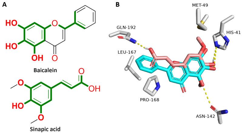 https://cdn.ncbi.nlm.nih.gov/pmc/blobs/67db/10674535/1e79fe176075/pharmaceutics-15-02531-g009.jpg