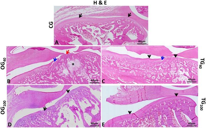 https://cdn.ncbi.nlm.nih.gov/pmc/blobs/67db/7159193/2f668e1d5e05/pone.0231734.g004.jpg