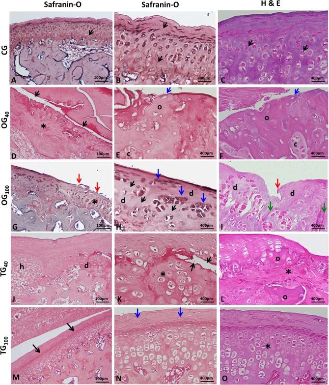 https://cdn.ncbi.nlm.nih.gov/pmc/blobs/67db/7159193/a72a84c8e3be/pone.0231734.g005.jpg