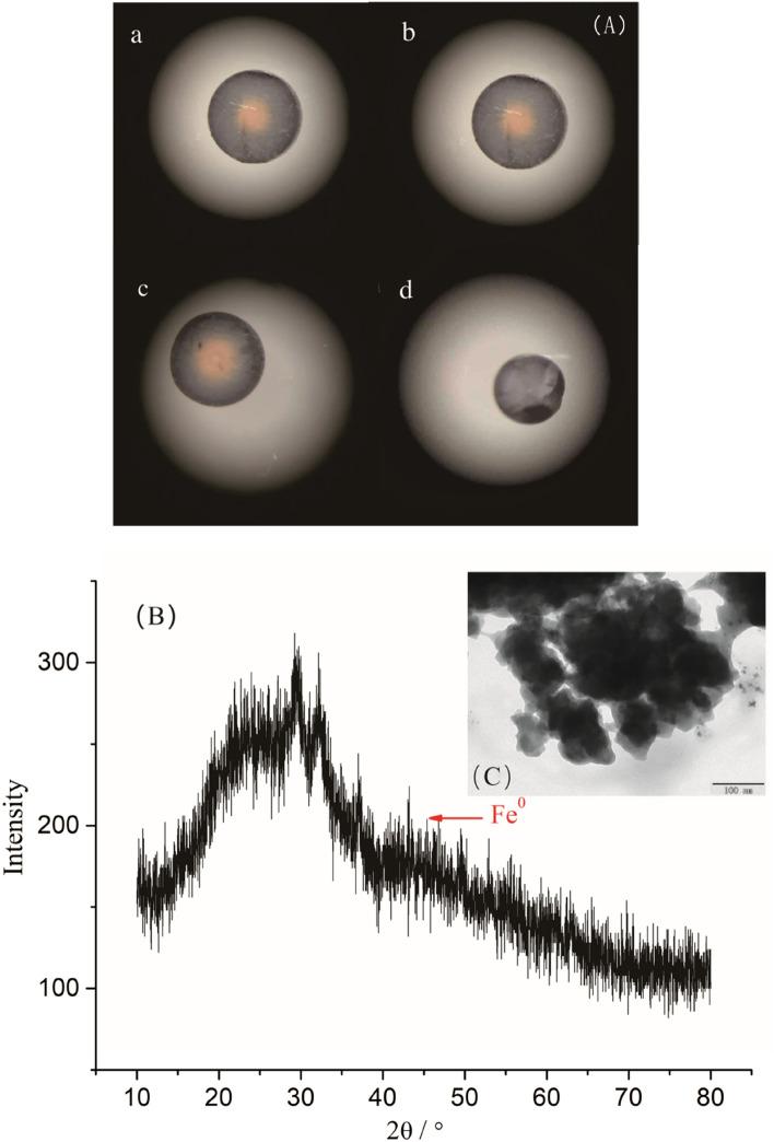 https://cdn.ncbi.nlm.nih.gov/pmc/blobs/67dc/7665180/e9d50aba829a/41598_2020_76362_Fig1_HTML.jpg