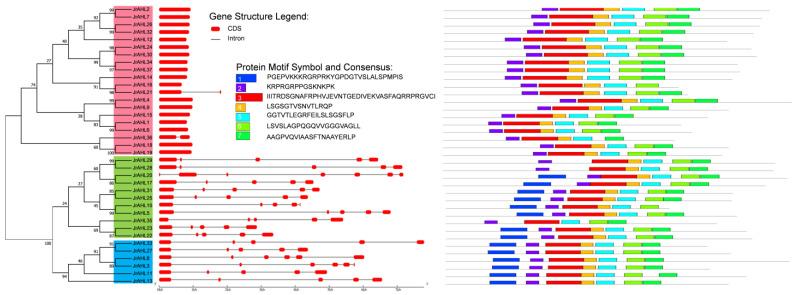 https://cdn.ncbi.nlm.nih.gov/pmc/blobs/67dd/10138636/57577b195a44/ijms-24-07244-g003.jpg