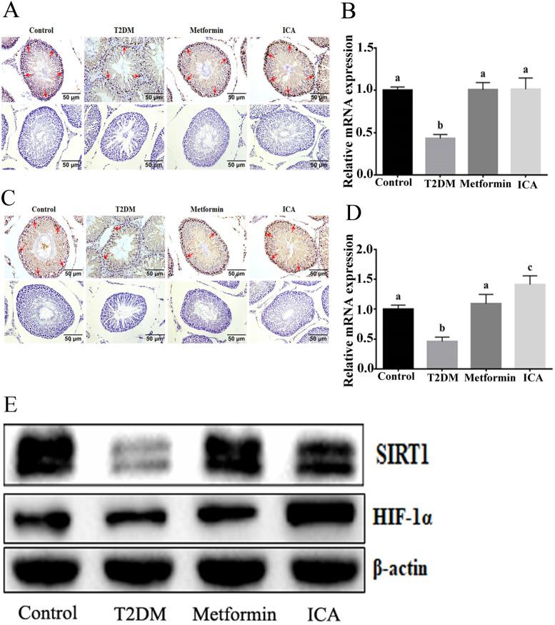 https://cdn.ncbi.nlm.nih.gov/pmc/blobs/67dd/8576896/6ca51362bcd9/12958_2021_851_Fig5_HTML.jpg