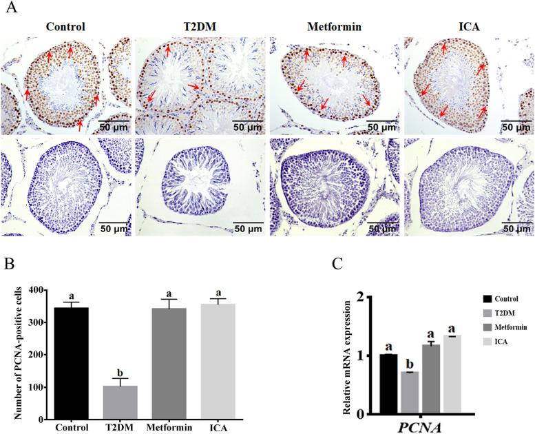 https://cdn.ncbi.nlm.nih.gov/pmc/blobs/67dd/8576896/76615c5b21b2/12958_2021_851_Fig3_HTML.jpg