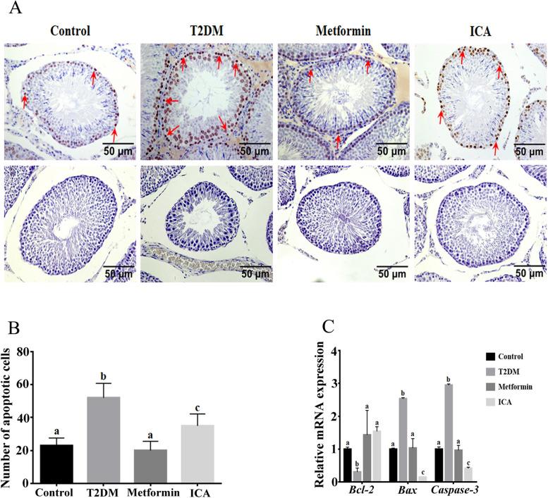 https://cdn.ncbi.nlm.nih.gov/pmc/blobs/67dd/8576896/922dabda2a9a/12958_2021_851_Fig6_HTML.jpg