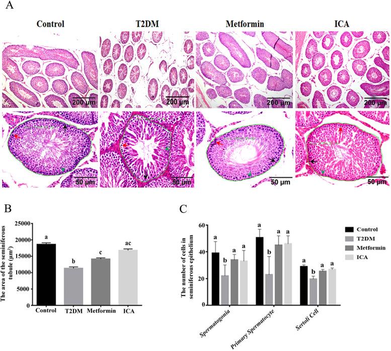 https://cdn.ncbi.nlm.nih.gov/pmc/blobs/67dd/8576896/f2dd4b34a779/12958_2021_851_Fig2_HTML.jpg