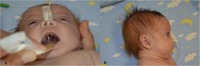 https://cdn.ncbi.nlm.nih.gov/pmc/blobs/67de/8252210/2d35eaa7af6b/13052_2021_1108_Fig1_HTML.jpg