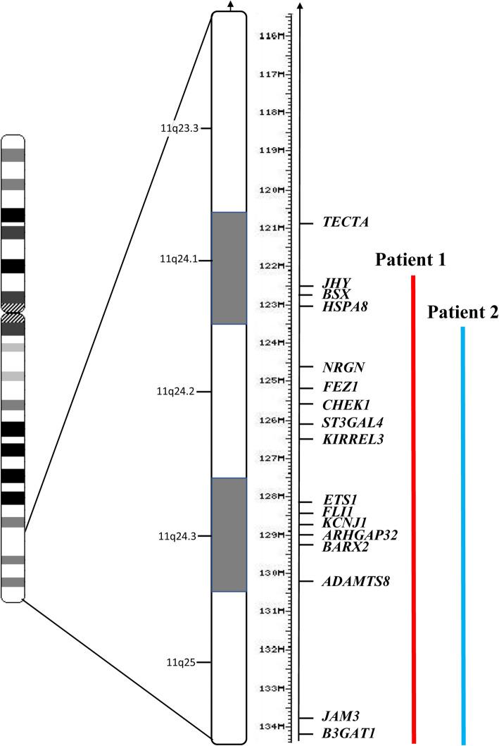 https://cdn.ncbi.nlm.nih.gov/pmc/blobs/67de/8252210/57d230008413/13052_2021_1108_Fig3_HTML.jpg