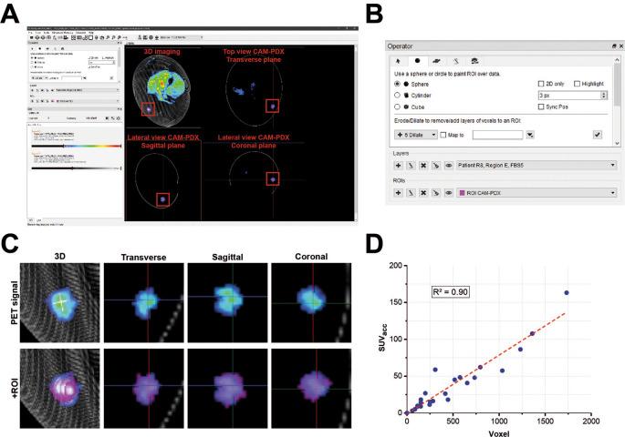https://cdn.ncbi.nlm.nih.gov/pmc/blobs/67e1/12188182/20980f0ec1ab/f1000research-14-179975-g0005.jpg