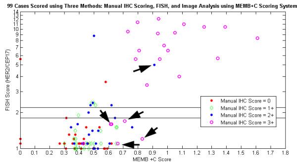 https://cdn.ncbi.nlm.nih.gov/pmc/blobs/67e1/2447833/5c39c6c84154/1471-2342-8-11-6.jpg