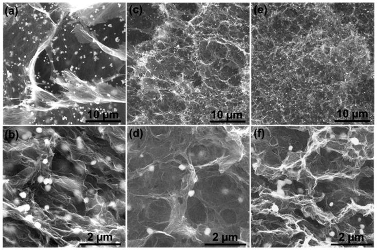 https://cdn.ncbi.nlm.nih.gov/pmc/blobs/67e3/10650518/ae3f84a6b3f0/materials-16-07042-g002.jpg