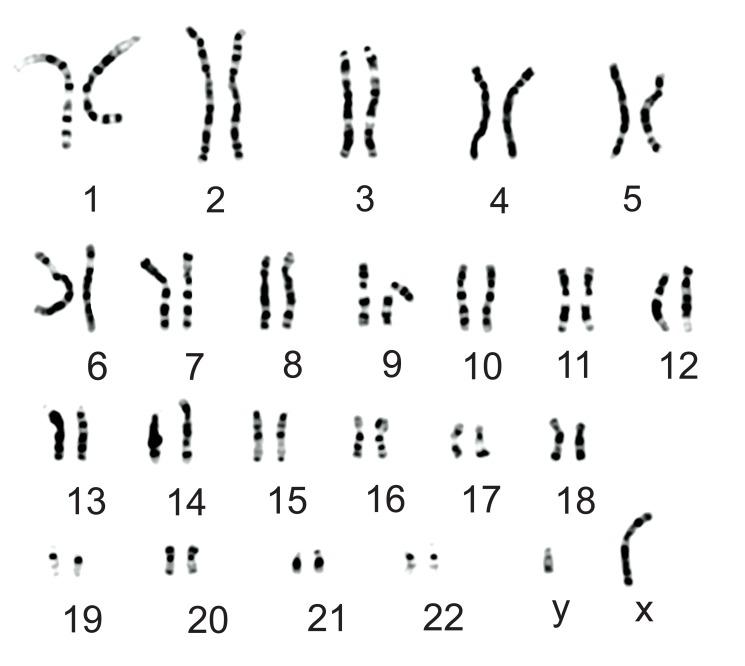 https://cdn.ncbi.nlm.nih.gov/pmc/blobs/67e9/4133961/acc8adb74931/CPSR-10-91_F3.jpg