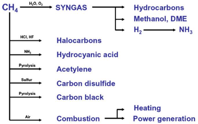 https://cdn.ncbi.nlm.nih.gov/pmc/blobs/67e9/9457830/05206de7b7d1/molecules-27-05496-g002.jpg
