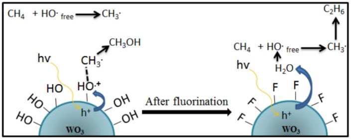 https://cdn.ncbi.nlm.nih.gov/pmc/blobs/67e9/9457830/bc45f03de661/molecules-27-05496-g010.jpg