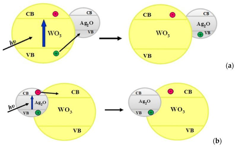 https://cdn.ncbi.nlm.nih.gov/pmc/blobs/67e9/9457830/bfd94f87024e/molecules-27-05496-g021.jpg