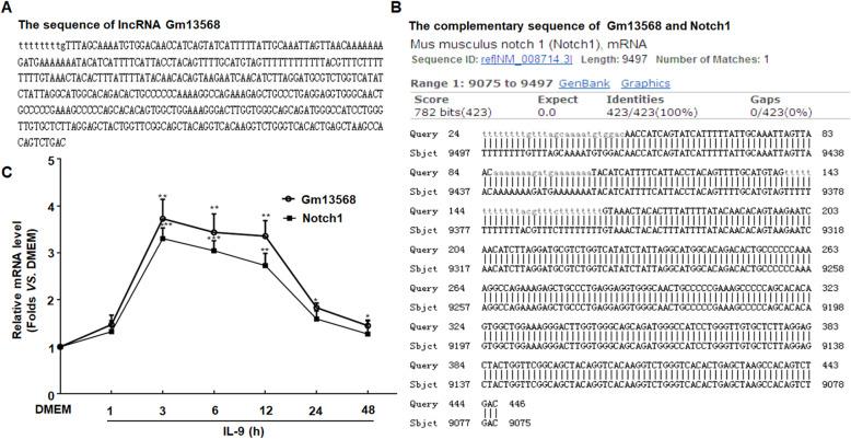 https://cdn.ncbi.nlm.nih.gov/pmc/blobs/67eb/8112022/2fd05fb88709/12974_2021_2156_Fig4_HTML.jpg