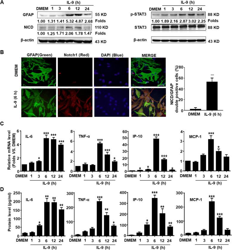 https://cdn.ncbi.nlm.nih.gov/pmc/blobs/67eb/8112022/bcf775eb7d35/12974_2021_2156_Fig2_HTML.jpg