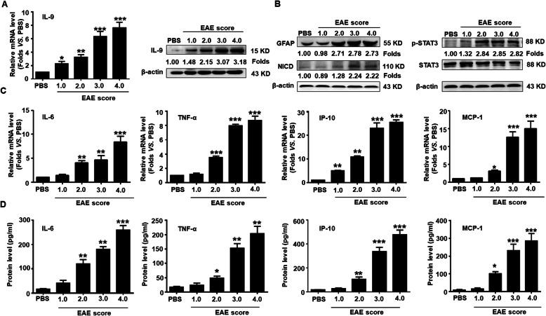 https://cdn.ncbi.nlm.nih.gov/pmc/blobs/67eb/8112022/f1cf72b2b0b3/12974_2021_2156_Fig1_HTML.jpg
