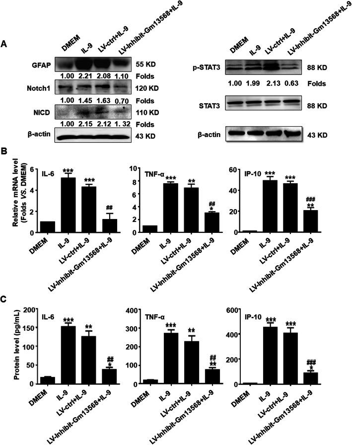 https://cdn.ncbi.nlm.nih.gov/pmc/blobs/67eb/8112022/fe7c25d08c8c/12974_2021_2156_Fig5_HTML.jpg