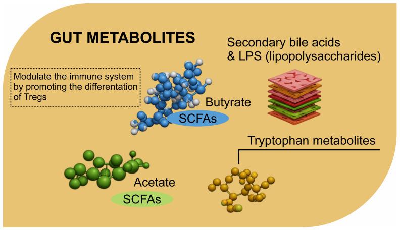 https://cdn.ncbi.nlm.nih.gov/pmc/blobs/67ed/11853082/2260ab7477b6/biomolecules-15-00270-g001.jpg