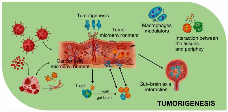 https://cdn.ncbi.nlm.nih.gov/pmc/blobs/67ed/11853082/4dc67c2dde00/biomolecules-15-00270-g003.jpg