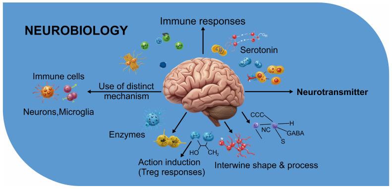 https://cdn.ncbi.nlm.nih.gov/pmc/blobs/67ed/11853082/6ab5e73dbc47/biomolecules-15-00270-g002.jpg