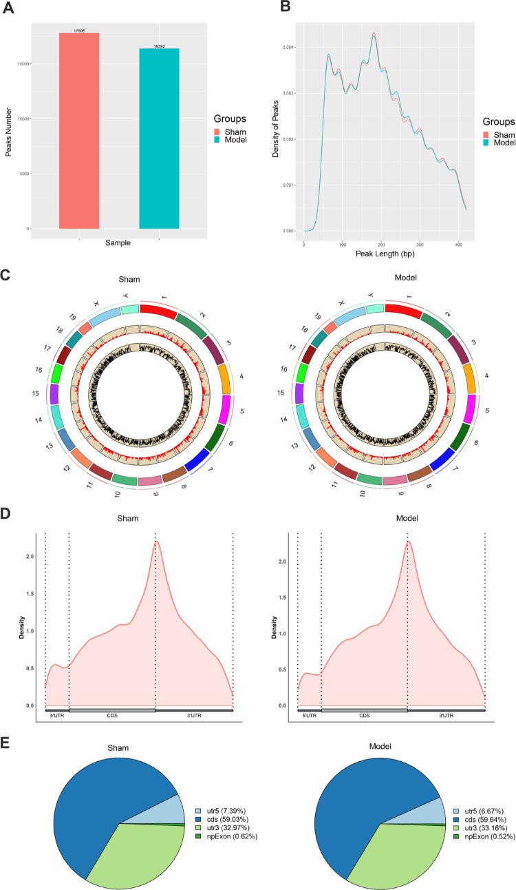 https://cdn.ncbi.nlm.nih.gov/pmc/blobs/67ed/12380991/6715289d82b4/11033_2025_10940_Fig3_HTML.jpg