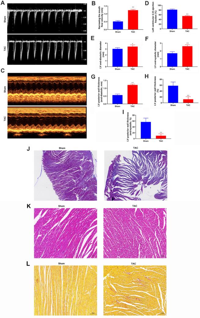 https://cdn.ncbi.nlm.nih.gov/pmc/blobs/67ed/12380991/a7d127a7ac17/11033_2025_10940_Fig1_HTML.jpg