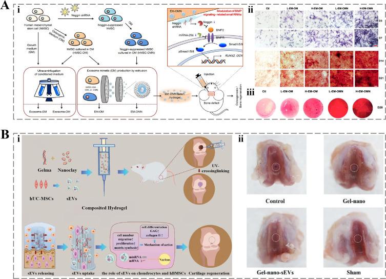 https://cdn.ncbi.nlm.nih.gov/pmc/blobs/67ef/11928757/1e1f7c7a768c/IJN-20-3303-g0008.jpg