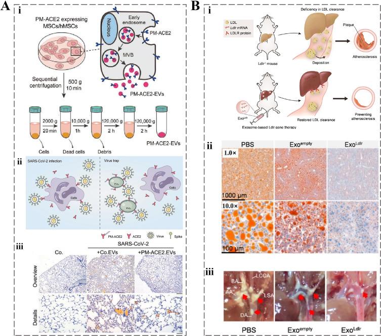 https://cdn.ncbi.nlm.nih.gov/pmc/blobs/67ef/11928757/7570c5b8451e/IJN-20-3303-g0005.jpg