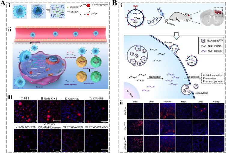 https://cdn.ncbi.nlm.nih.gov/pmc/blobs/67ef/11928757/b44ff210431d/IJN-20-3303-g0006.jpg