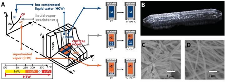 https://cdn.ncbi.nlm.nih.gov/pmc/blobs/67ef/6477620/90cc1991a393/biomimetics-02-00008-g005.jpg