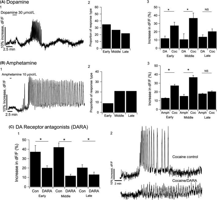 https://cdn.ncbi.nlm.nih.gov/pmc/blobs/67f7/5461641/8ffd8f4180e6/PRP2-5-e00282-g003.jpg