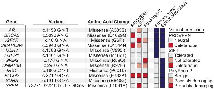 https://cdn.ncbi.nlm.nih.gov/pmc/blobs/67f8/10701755/64939bed3698/CASE23164f4.jpg