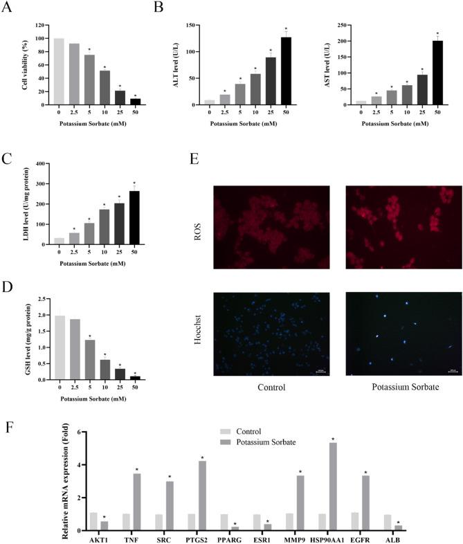https://cdn.ncbi.nlm.nih.gov/pmc/blobs/67f8/12379242/f8c3dc591cef/41598_2025_17255_Fig6_HTML.jpg