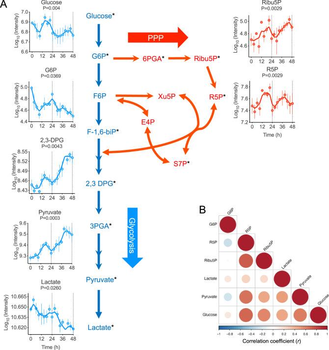 https://cdn.ncbi.nlm.nih.gov/pmc/blobs/67fb/7810875/a3eca5697999/41467_2020_20479_Fig2_HTML.jpg