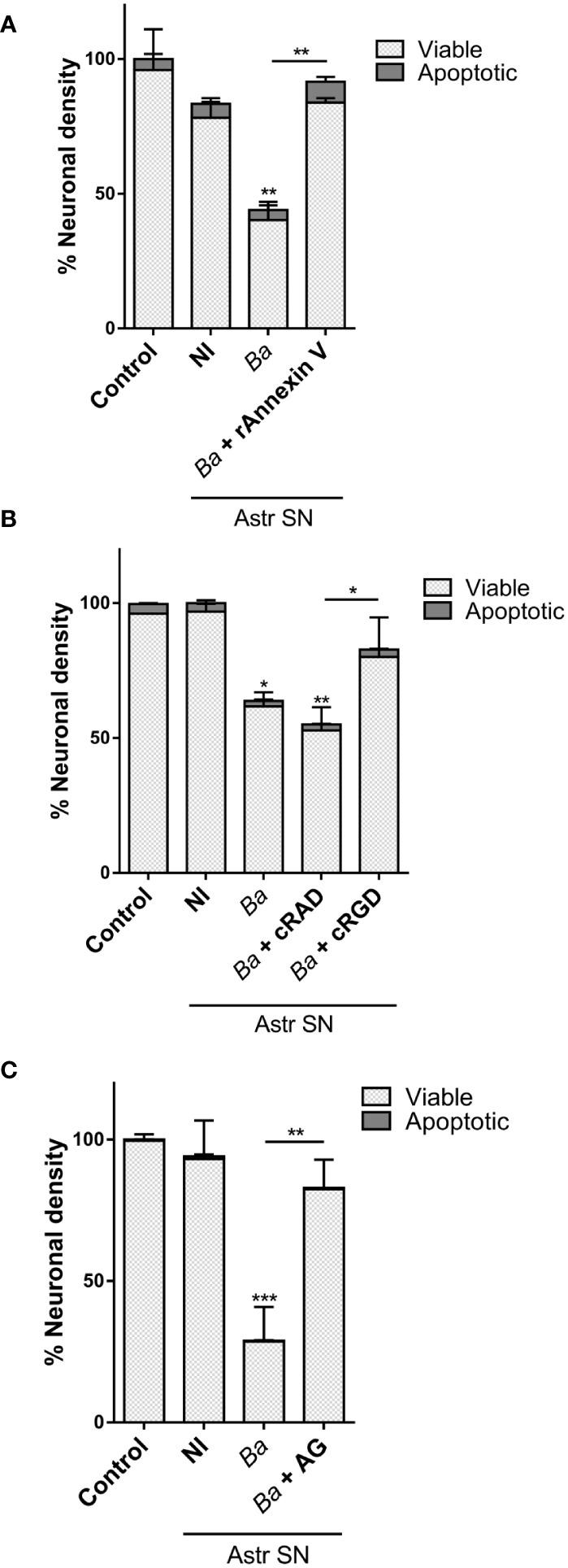 https://cdn.ncbi.nlm.nih.gov/pmc/blobs/67fc/10844513/af6de0cbb464/fimmu-14-1343503-g004.jpg
