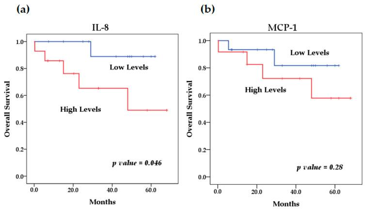 https://cdn.ncbi.nlm.nih.gov/pmc/blobs/67ff/12292616/52788567af68/biomedicines-13-01517-g005.jpg